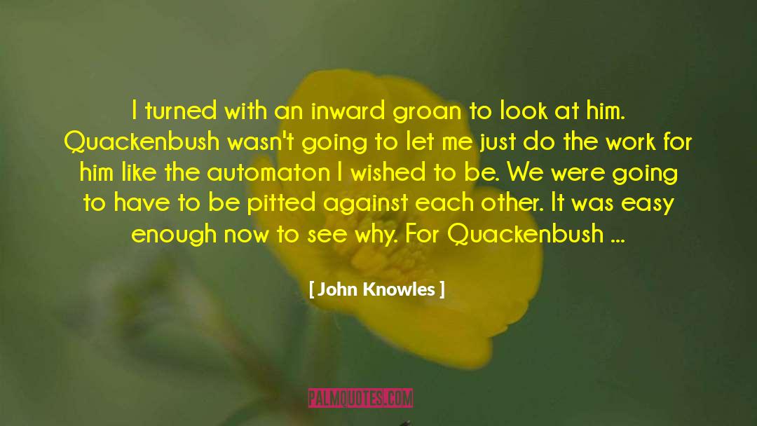 John Knowles Quotes: I turned with an inward