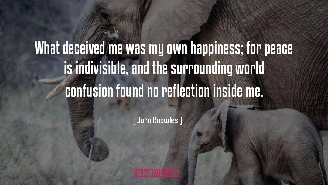 John Knowles Quotes: What deceived me was my