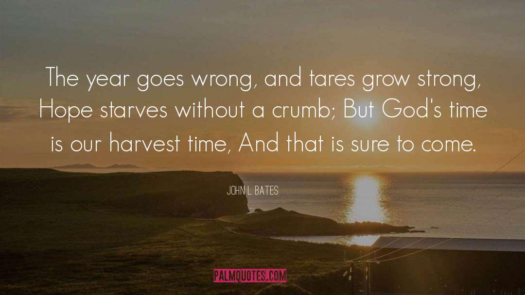 John L. Bates Quotes: The year goes wrong, and