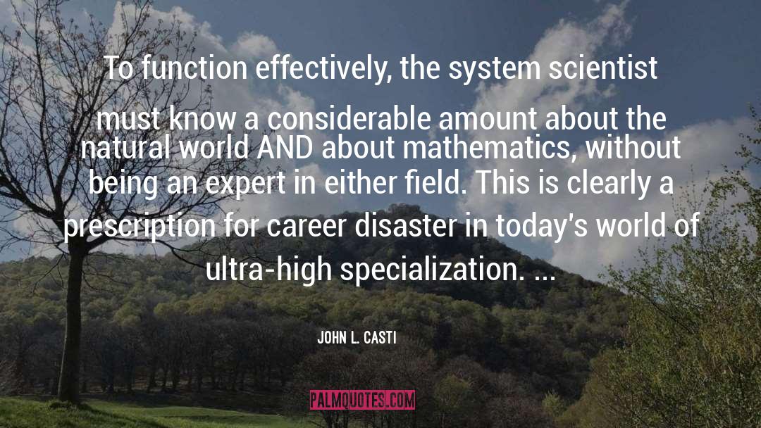 John L. Casti Quotes: To function effectively, the system
