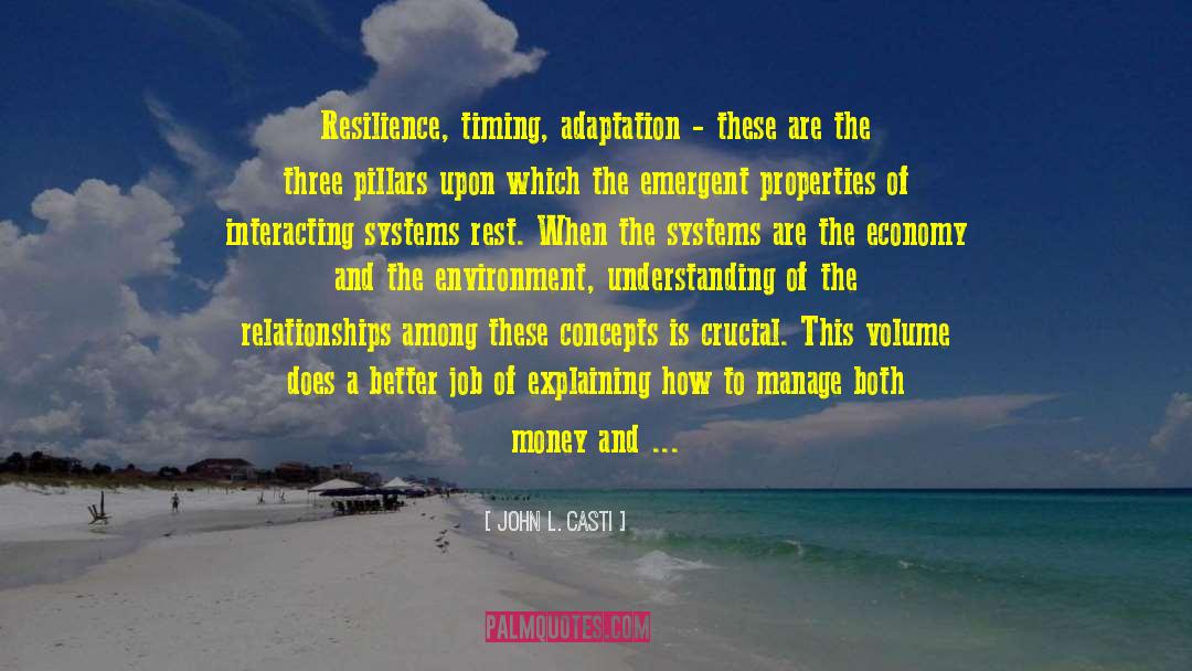 John L. Casti Quotes: Resilience, timing, adaptation - these