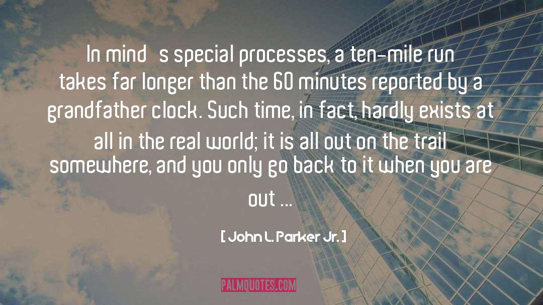 John L. Parker Jr. Quotes: In mind's special processes, a