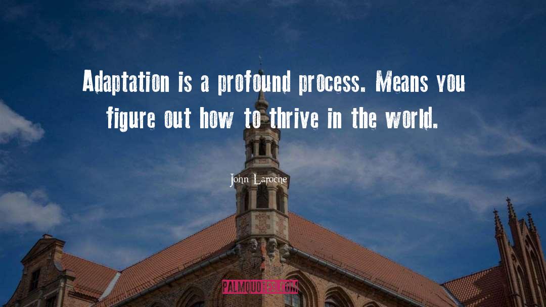 John Laroche Quotes: Adaptation is a profound process.