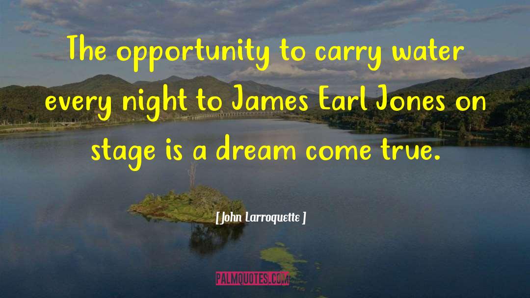 John Larroquette Quotes: The opportunity to carry water