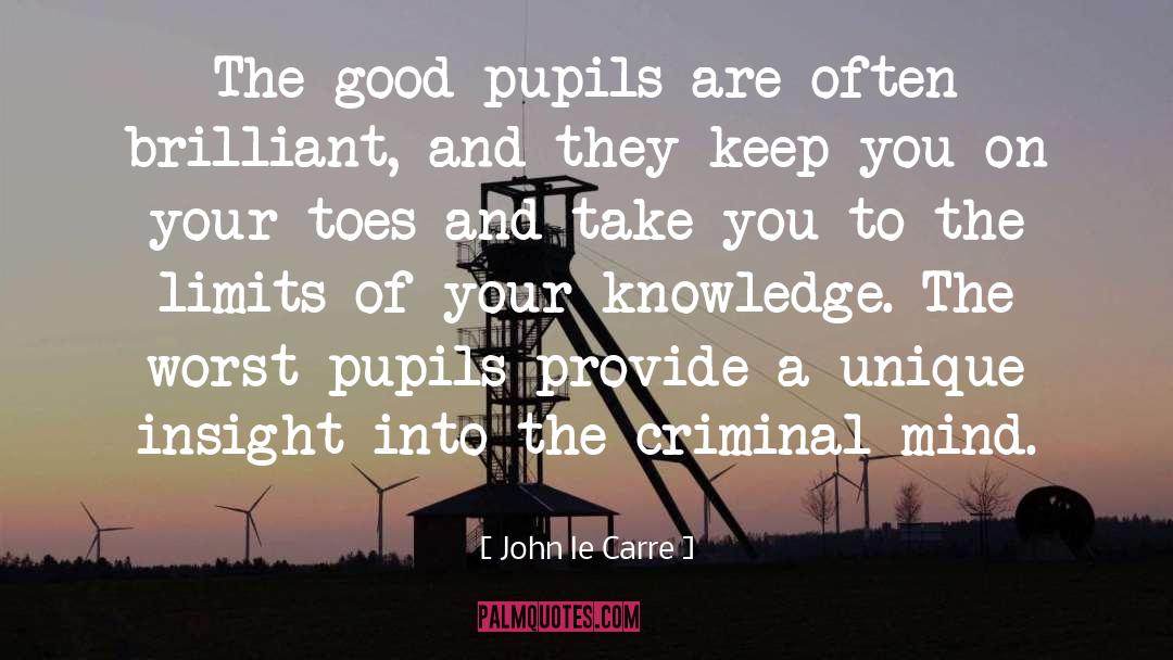 John Le Carre Quotes: The good pupils are often