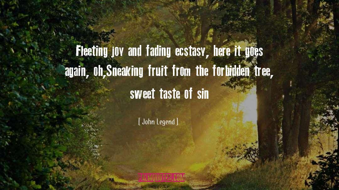 John Legend Quotes: Fleeting joy and fading ecstasy,