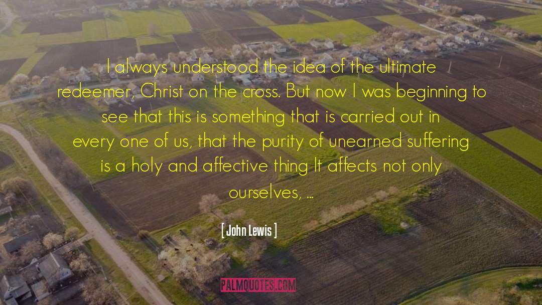 John Lewis Quotes: I always understood the idea
