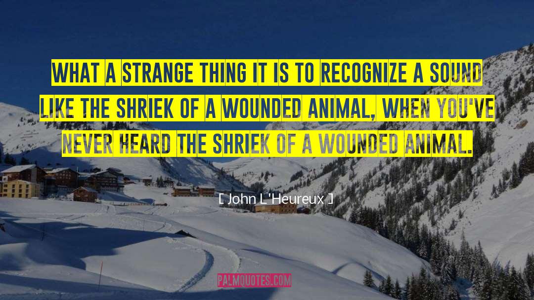 John L'Heureux Quotes: What a strange thing it