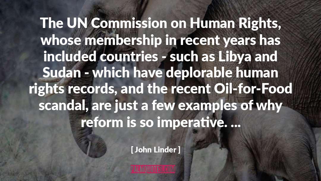 John Linder Quotes: The UN Commission on Human