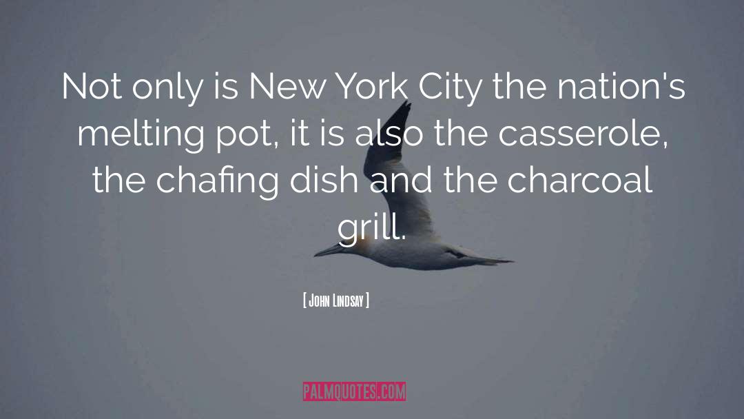 John Lindsay Quotes: Not only is New York