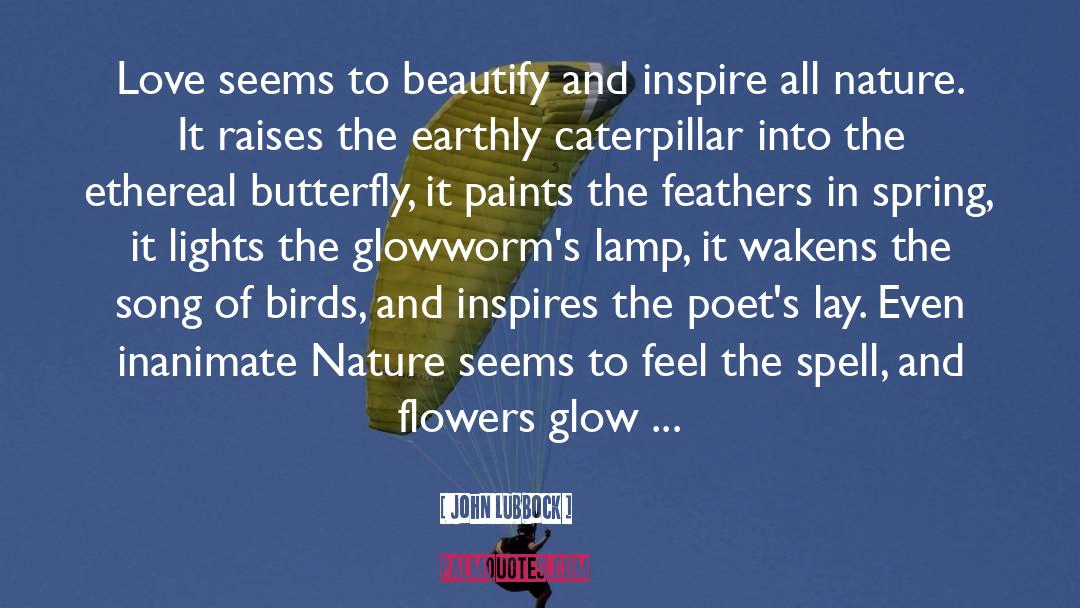 John Lubbock Quotes: Love seems to beautify and