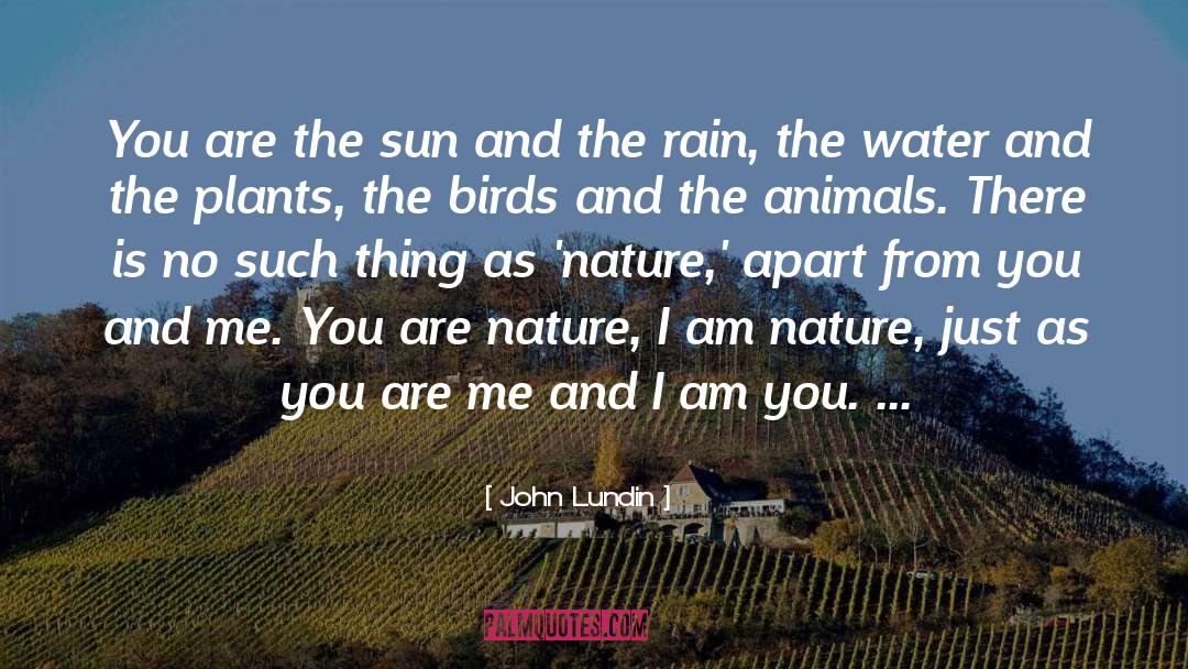 John Lundin Quotes: You are the sun and