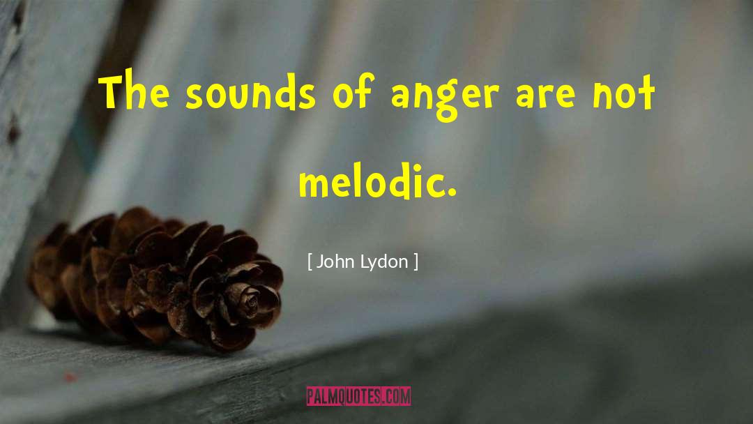 John Lydon Quotes: The sounds of anger are