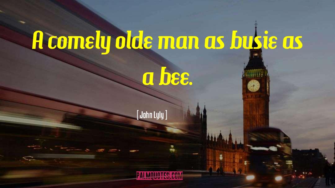 John Lyly Quotes: A comely olde man as