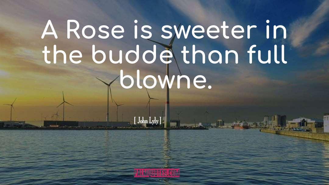 John Lyly Quotes: A Rose is sweeter in