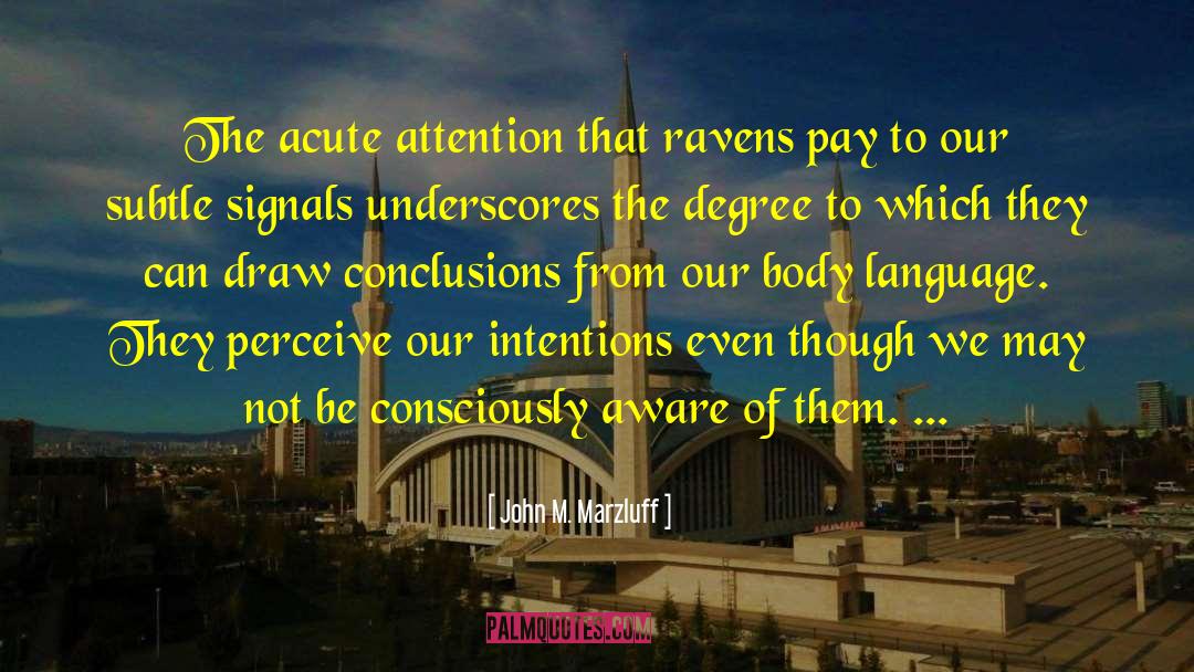 John M. Marzluff Quotes: The acute attention that ravens