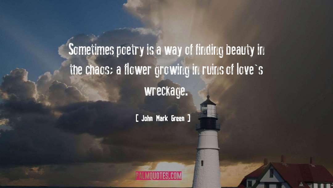 John Mark Green Quotes: Sometimes poetry is a way