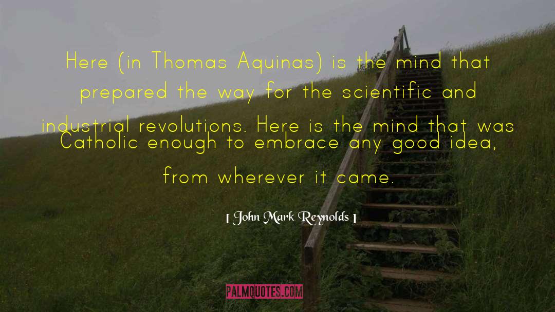 John Mark Reynolds Quotes: Here (in Thomas Aquinas) is