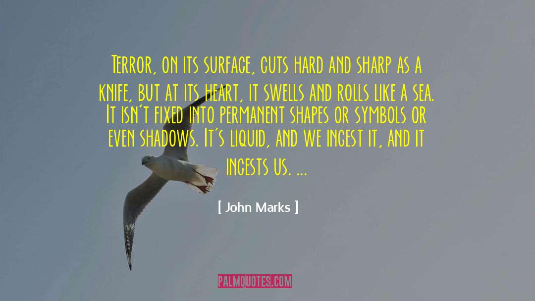 John Marks Quotes: Terror, on its surface, cuts