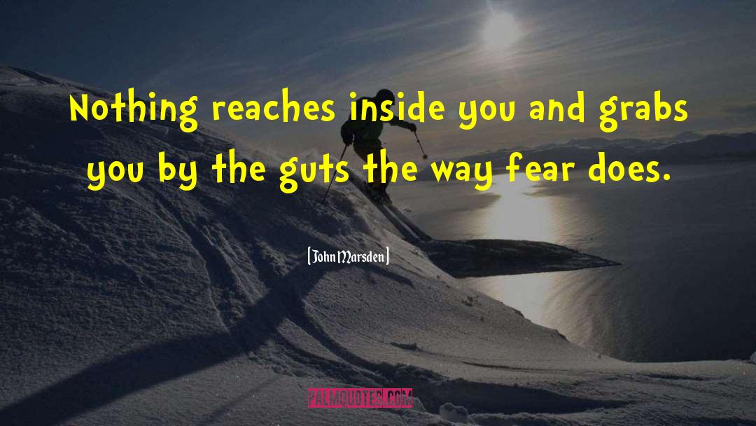 John Marsden Quotes: Nothing reaches inside you and