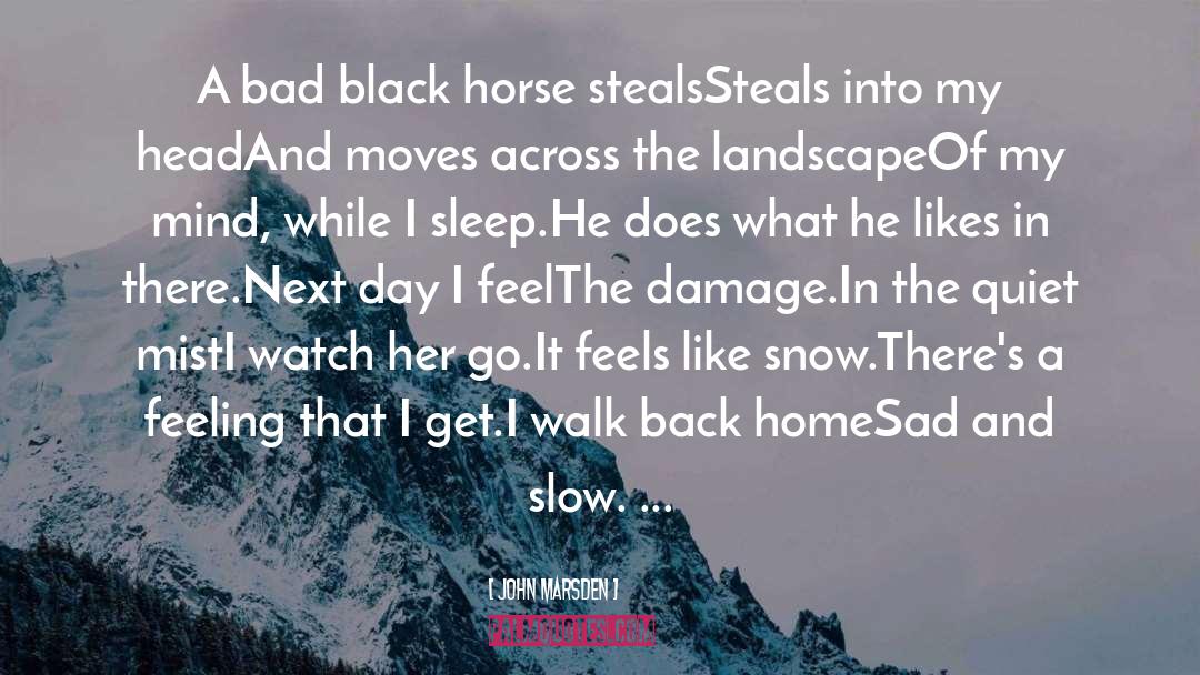 John Marsden Quotes: A bad black horse steals<br>Steals