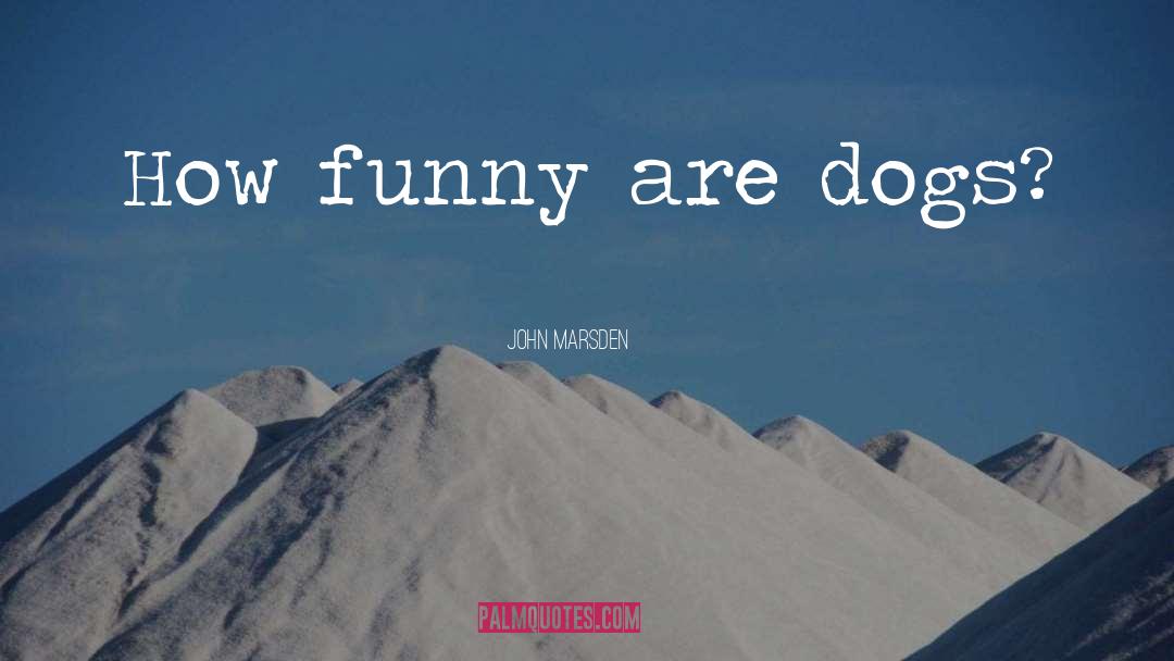 John Marsden Quotes: How funny are dogs?