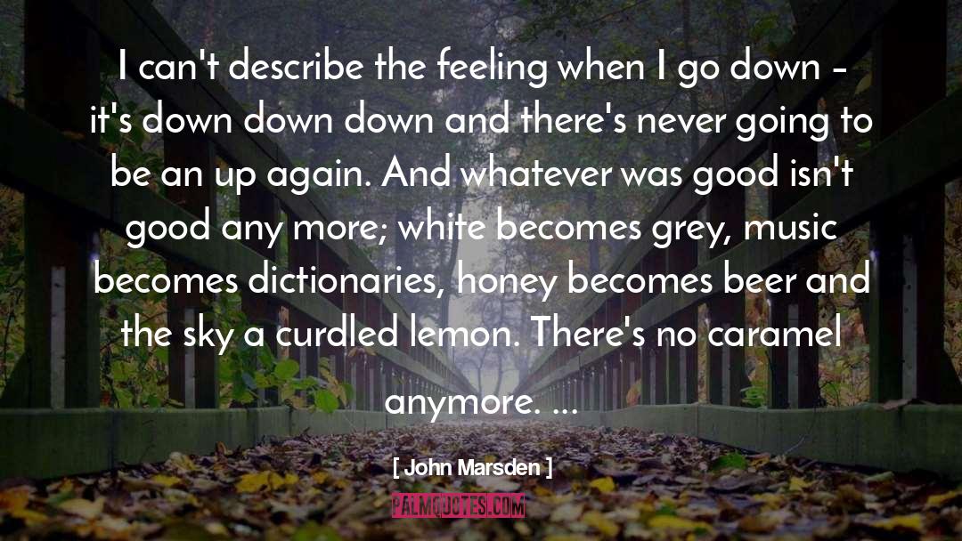 John Marsden Quotes: I can't describe the feeling