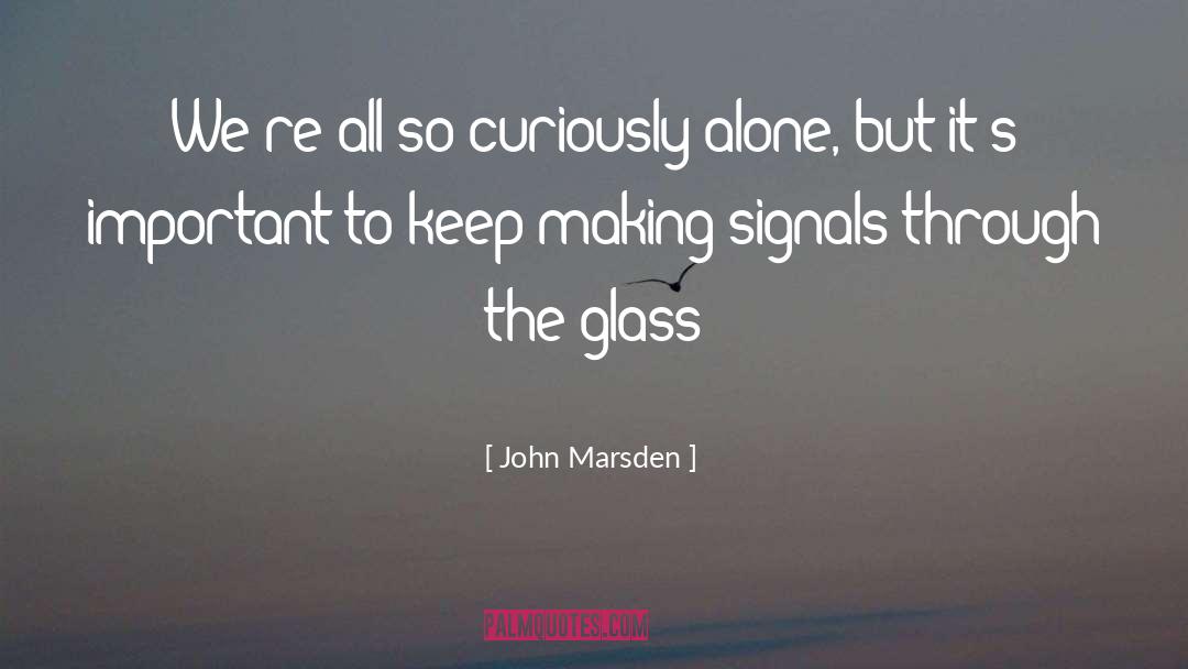 John Marsden Quotes: We're all so curiously alone,