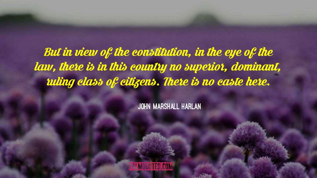 John Marshall Harlan Quotes: But in view of the