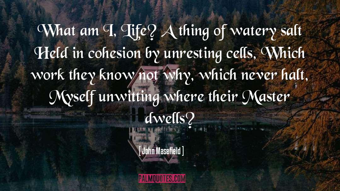 John Masefield Quotes: What am I, Life? A