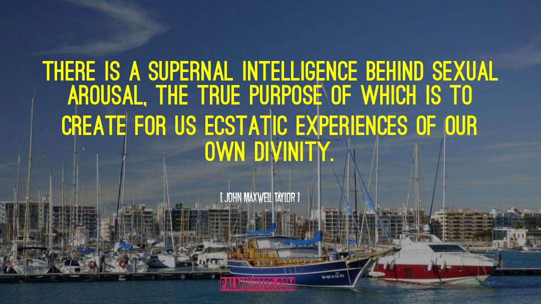 John Maxwell Taylor Quotes: There is a supernal intelligence