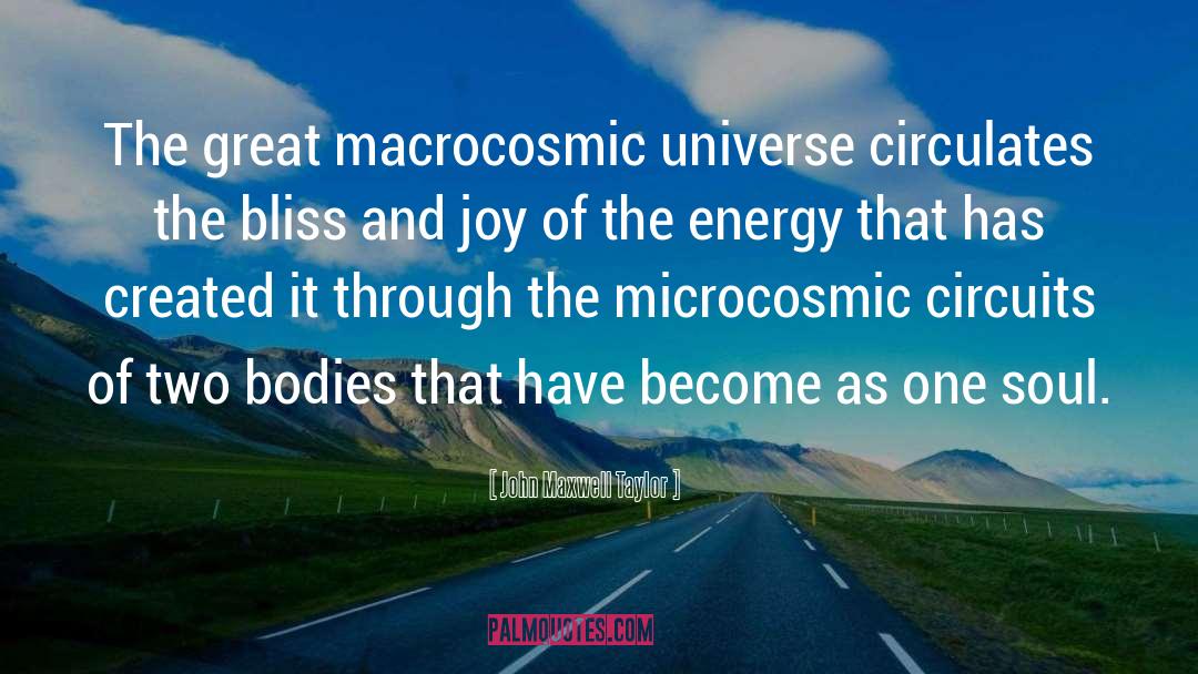 John Maxwell Taylor Quotes: The great macrocosmic universe circulates