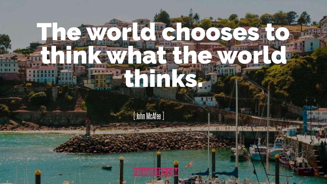 John McAfee Quotes: The world chooses to think