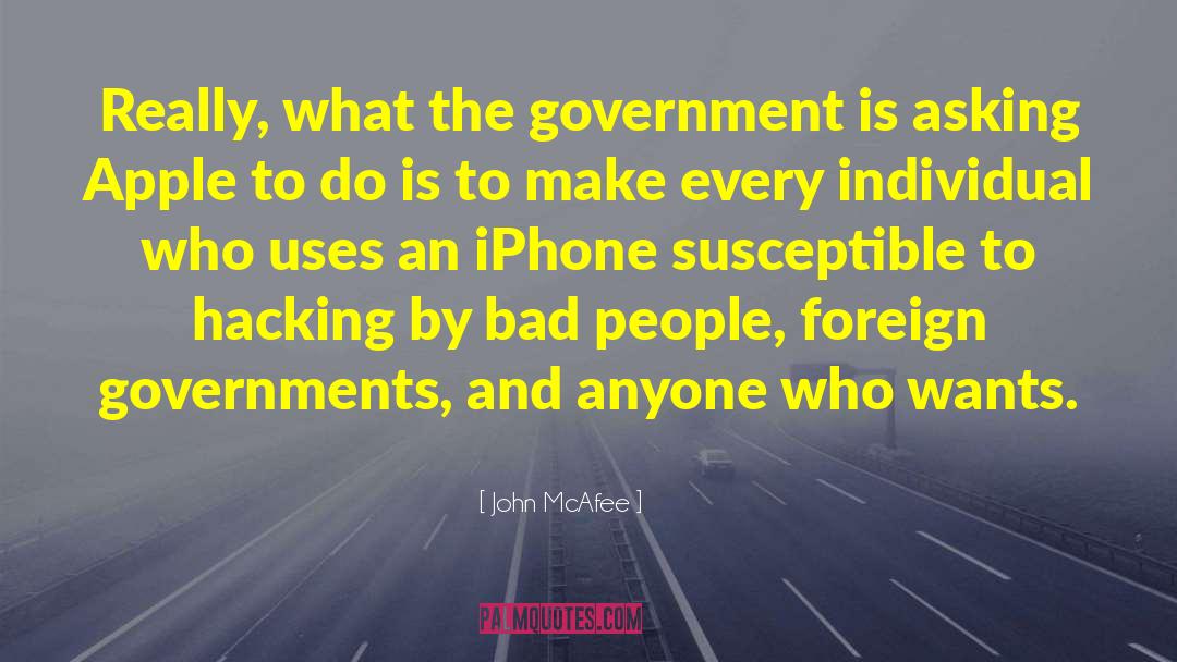 John McAfee Quotes: Really, what the government is