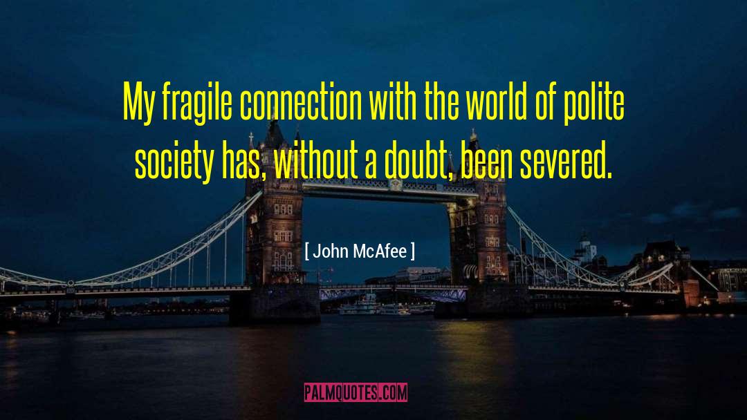 John McAfee Quotes: My fragile connection with the