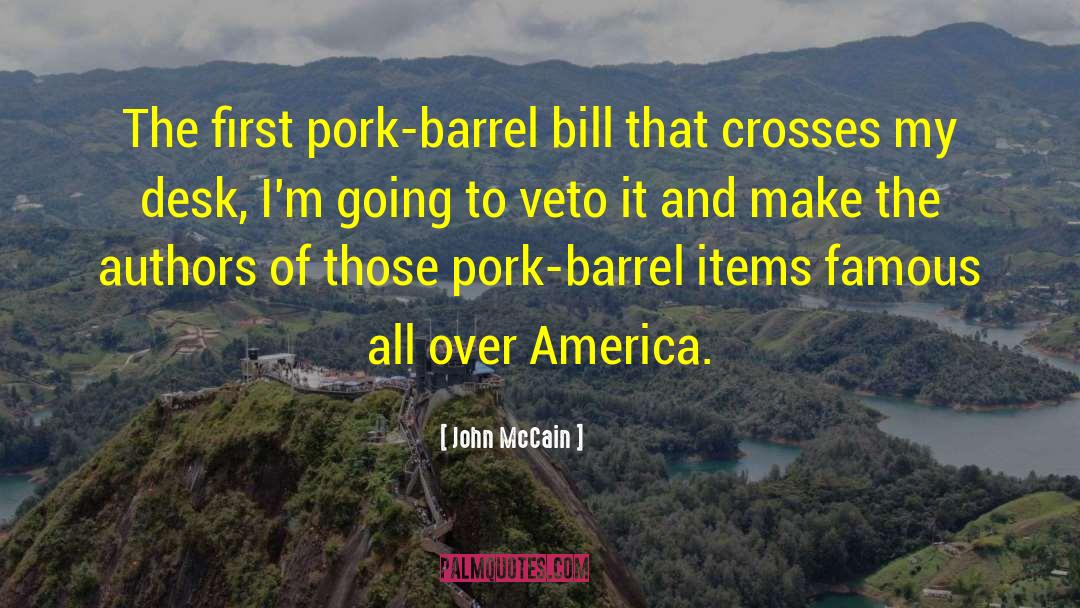 John McCain Quotes: The first pork-barrel bill that
