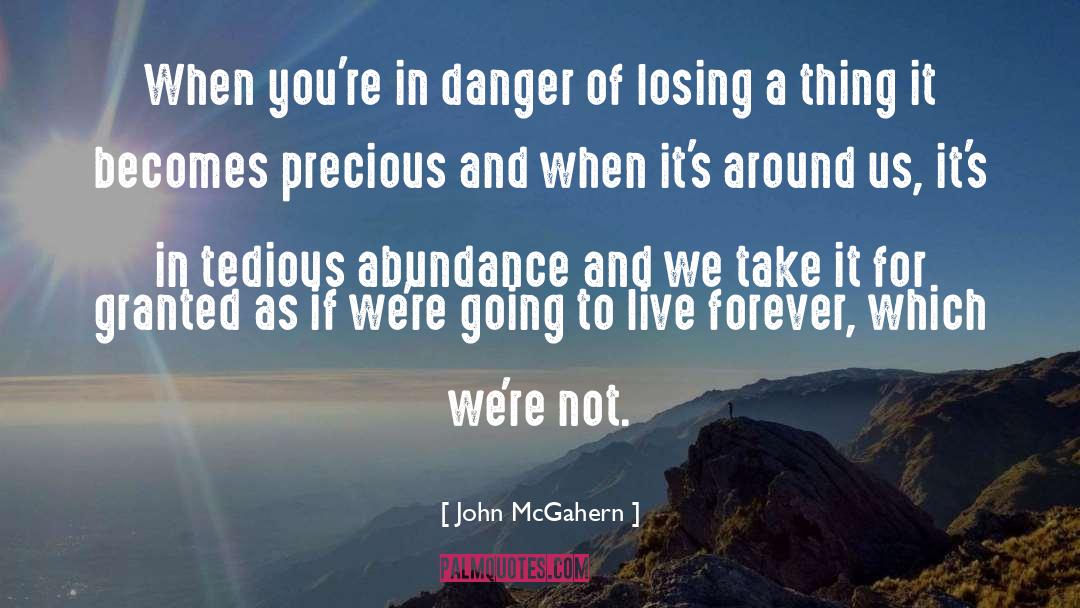 John McGahern Quotes: When you're in danger of