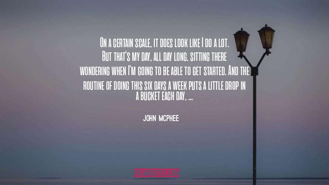 John McPhee Quotes: On a certain scale, it
