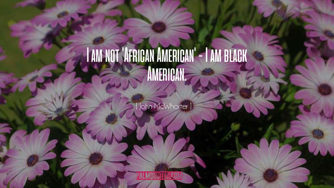 John McWhorter Quotes: I am not 'African American'