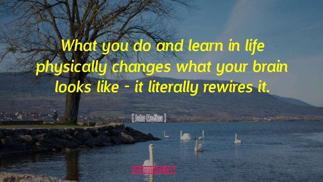 John Medina Quotes: What you do and learn