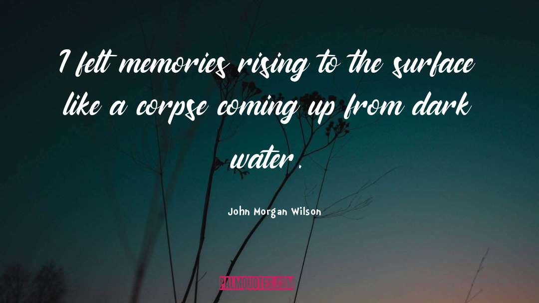 John Morgan Wilson Quotes: I felt memories rising to