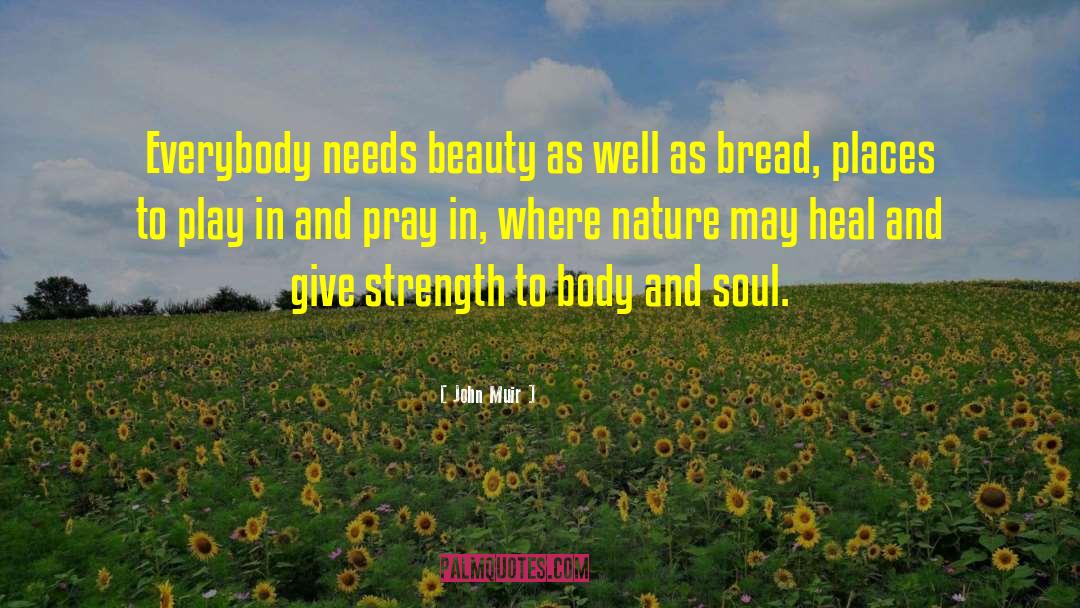 John Muir Quotes: Everybody needs beauty as well