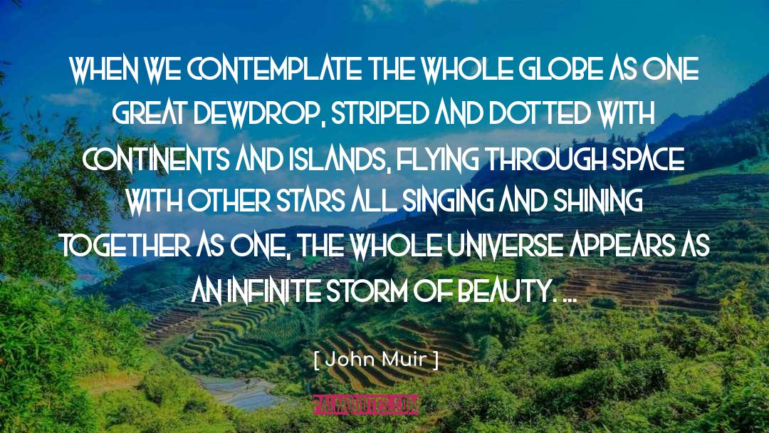 John Muir Quotes: When we contemplate the whole