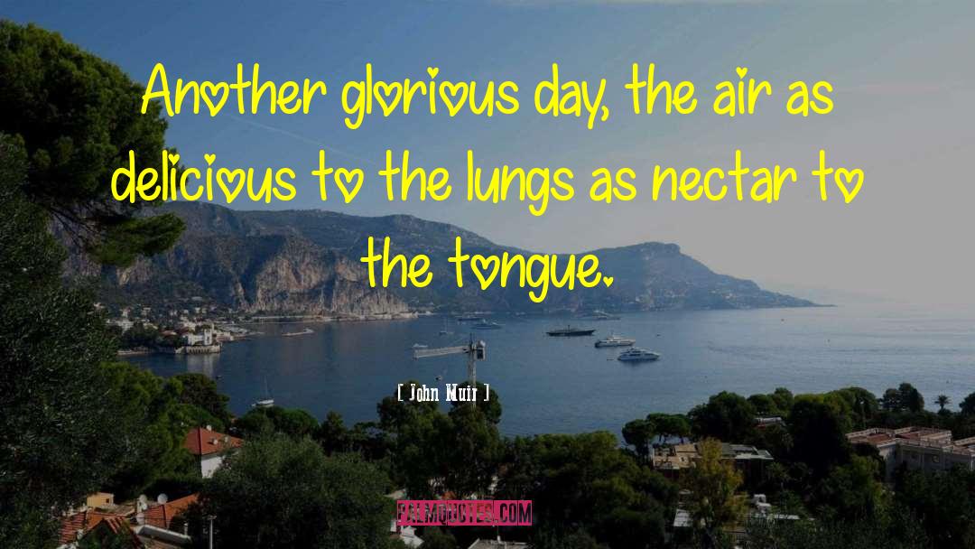 John Muir Quotes: Another glorious day, the air