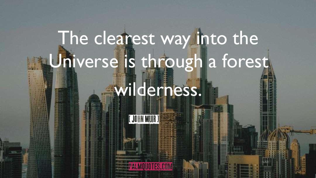 John Muir Quotes: The clearest way into the