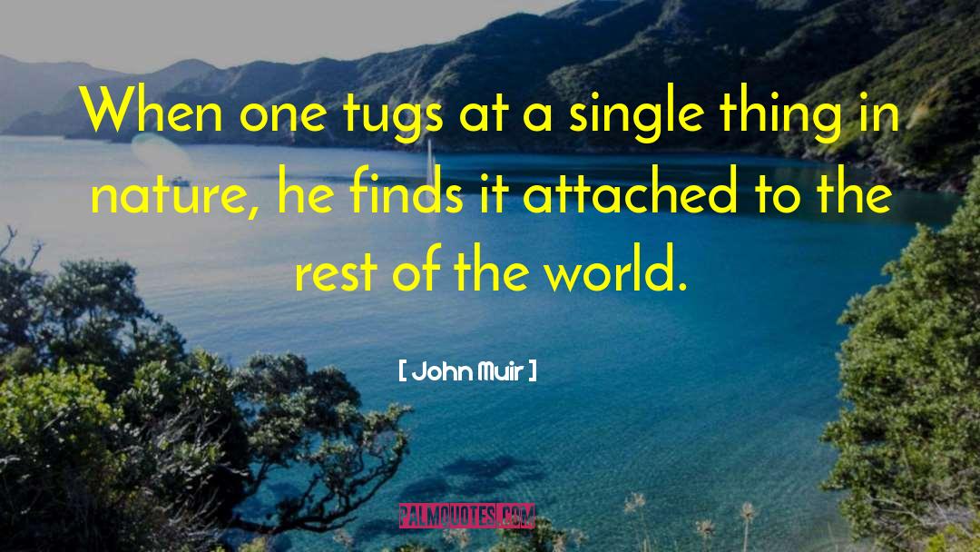 John Muir Quotes: When one tugs at a