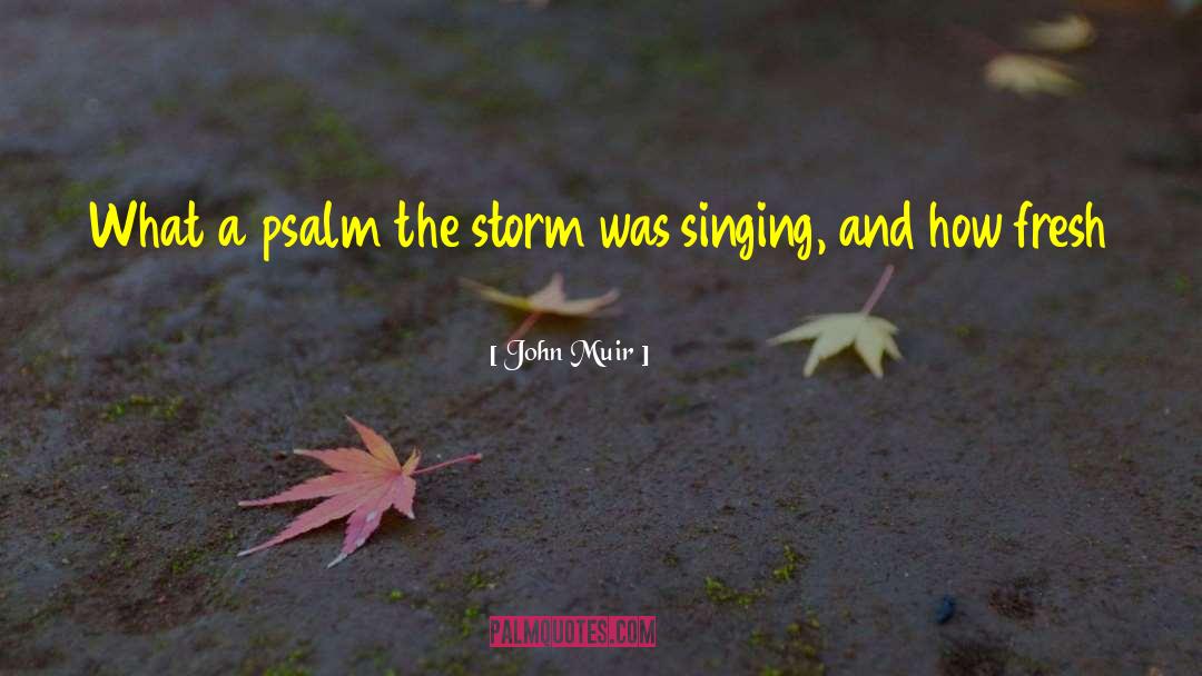 John Muir Quotes: What a psalm the storm