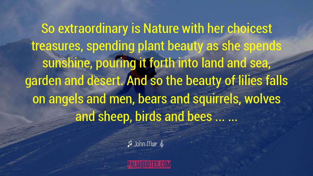 John Muir Quotes: So extraordinary is Nature with