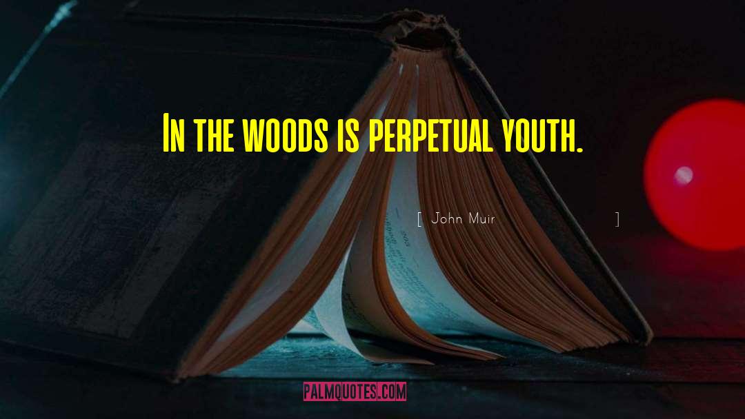 John Muir Quotes: In the woods is perpetual