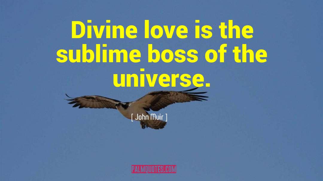 John Muir Quotes: Divine love is the sublime